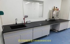 寧夏醫(yī)學(xué)BSLＧ２實(shí)驗(yàn)室的施工進(jìn)行了哪些規(guī)定